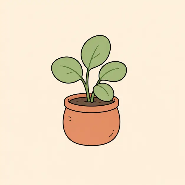 Potted Plant