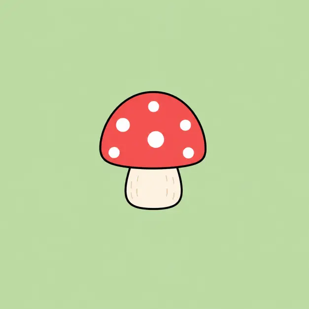 Little Mushroom