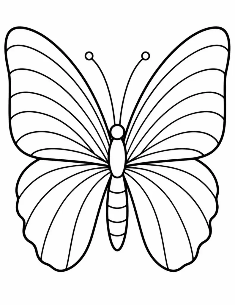 Rainbow Wing Butterfly